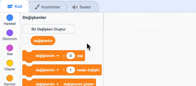 add-variable.tr.gif
