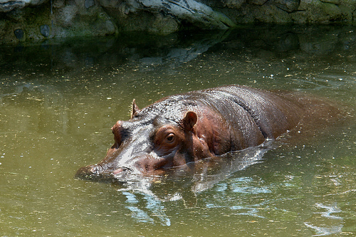 image-11.png